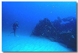 Cabo San Lucas scuba diving