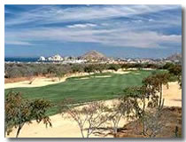Raven golf course in Cabo San Lucas